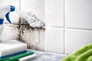 black-mold-will-disappear-from-tile-joints-within-10-minutes.png