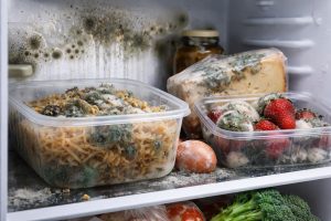 the-real-reasons-why-mold-appears-in-the-refrigerator-even.png