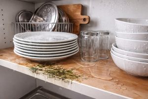 why-experienced-housewives-prohibit-putting-wet-dishes-in-the-cupboard.png
