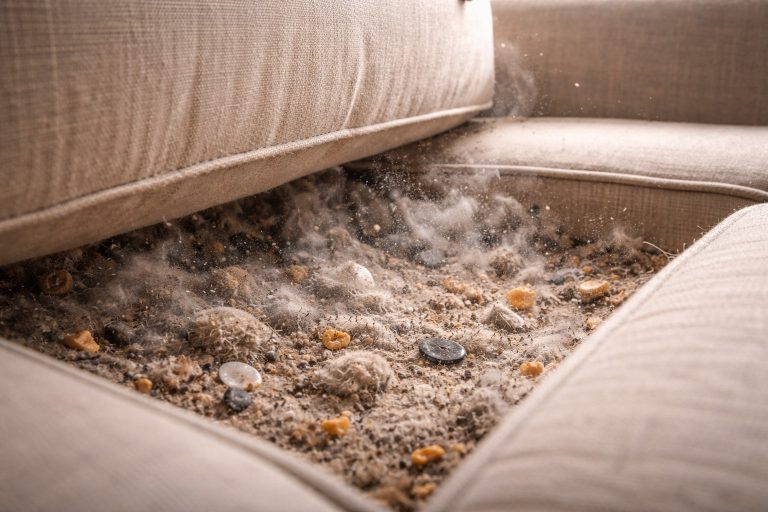 dust-inside-the-sofa-is-more-dangerous-than-it-seems.png