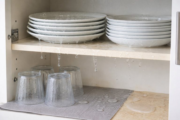 why-you-cant-immediately-put-wet-dishes-in-the-cupboard.png